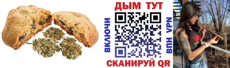 Canna-Cookies марихуана  магазин  наркотиков  Светогорск 