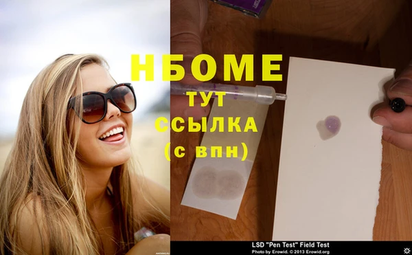 СК Новодвинск