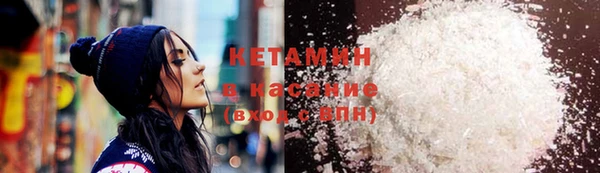 СК Новодвинск