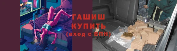 СК Новодвинск