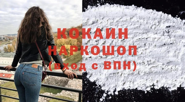 СК Новодвинск