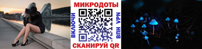 Галлюциногенные грибы Psilocybe  Светогорск 